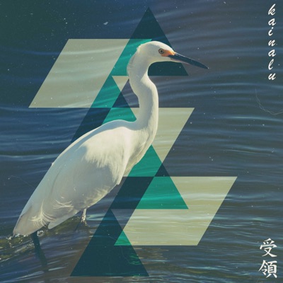 Folds Like Origami album artwork
